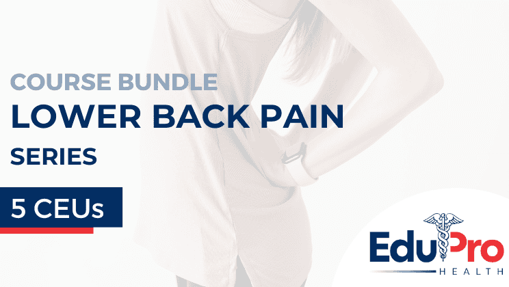 Lower Back Pain Series – Live Webinar Package